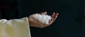 Everbloom створив ШІ, який перетворює куряче пір'я на кашемір