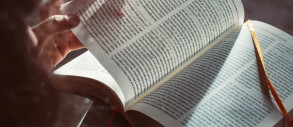 6 незамінних книг про створення організацій